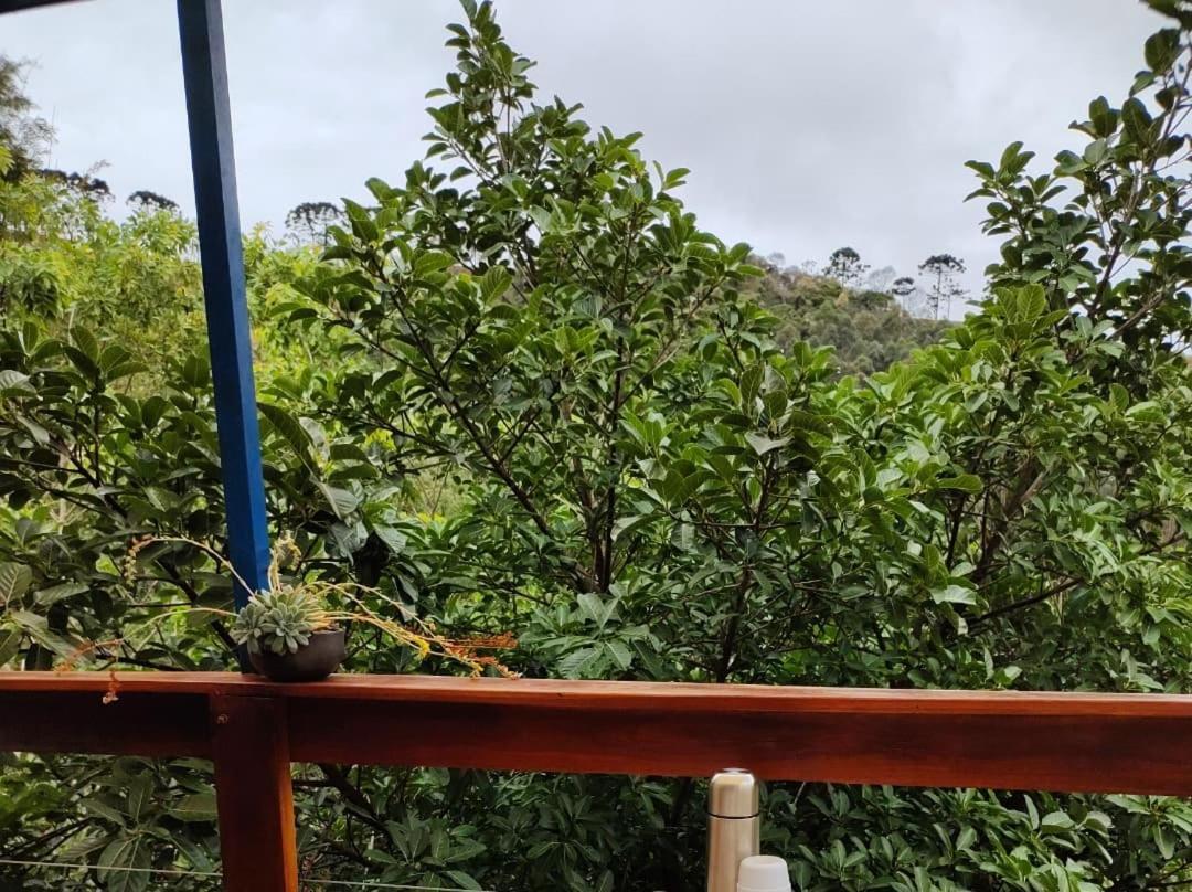 Chales Agua Azul Santo Antonio do Pinhal Bagian luar foto
